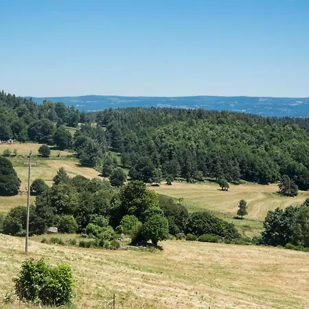 Le Des Jonquilles 6/8 Personnes Ferienhaus *